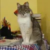 Отзыв от Лидия Майорова